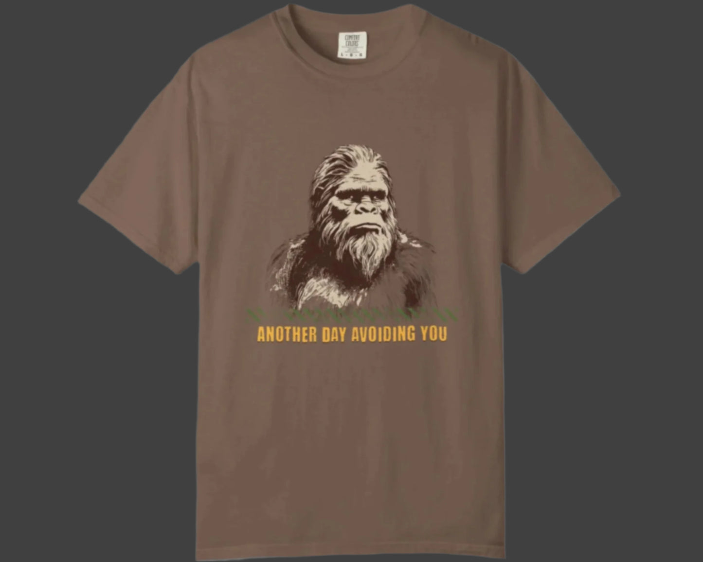 Bigfoot Avoiding You-Mediumweight Relaxed fit T-Shirt