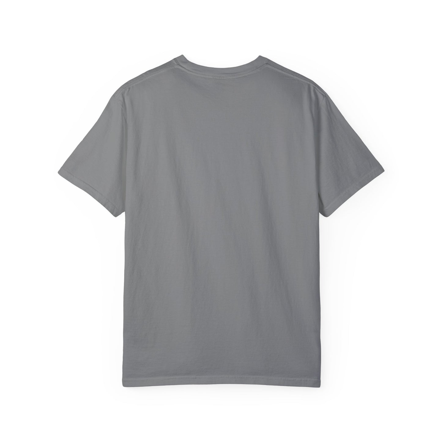 Daily Fresh Ambition-Mediumweight Relaxed fit T-Shirt