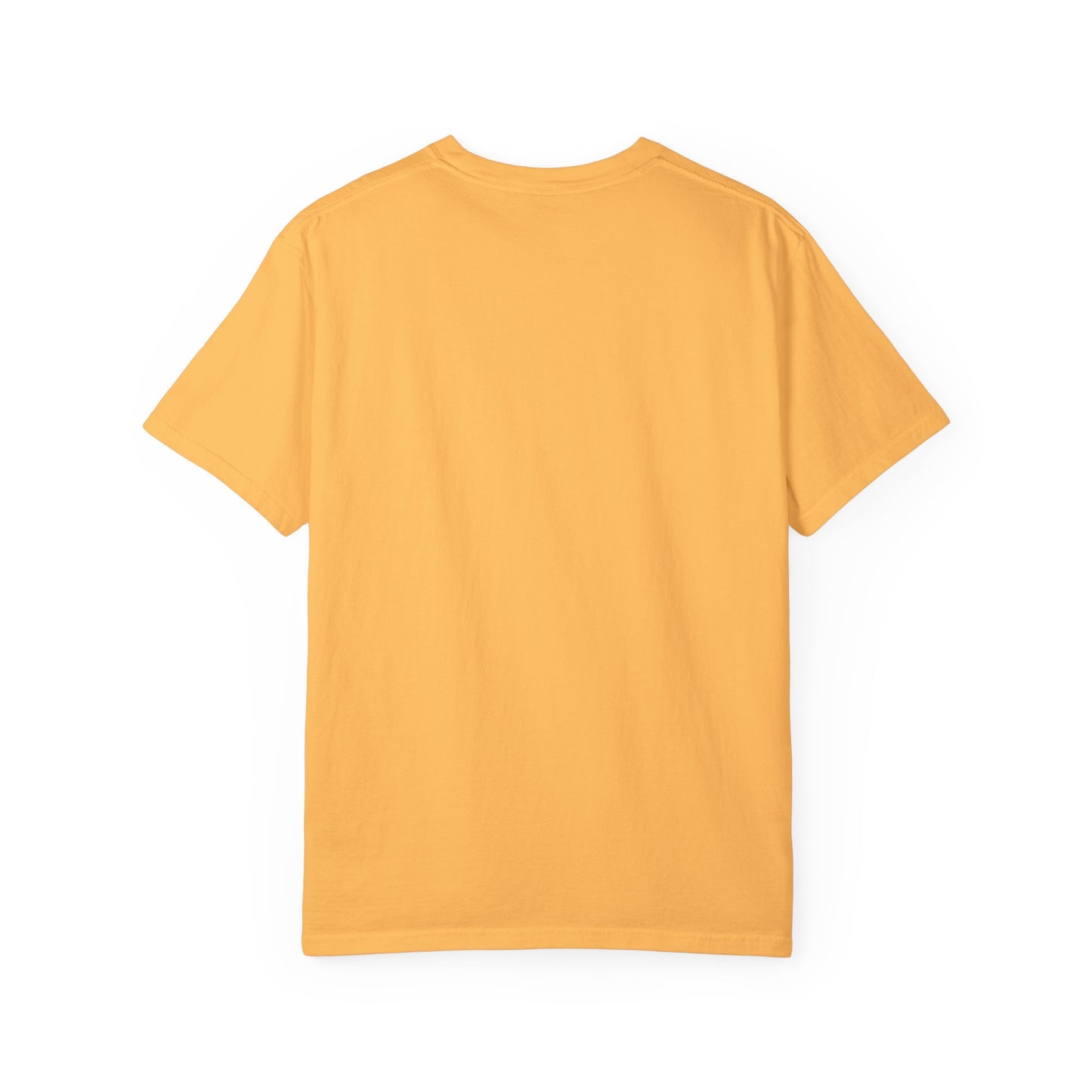 Daily Fresh Ambition-Mediumweight Relaxed fit T-Shirt